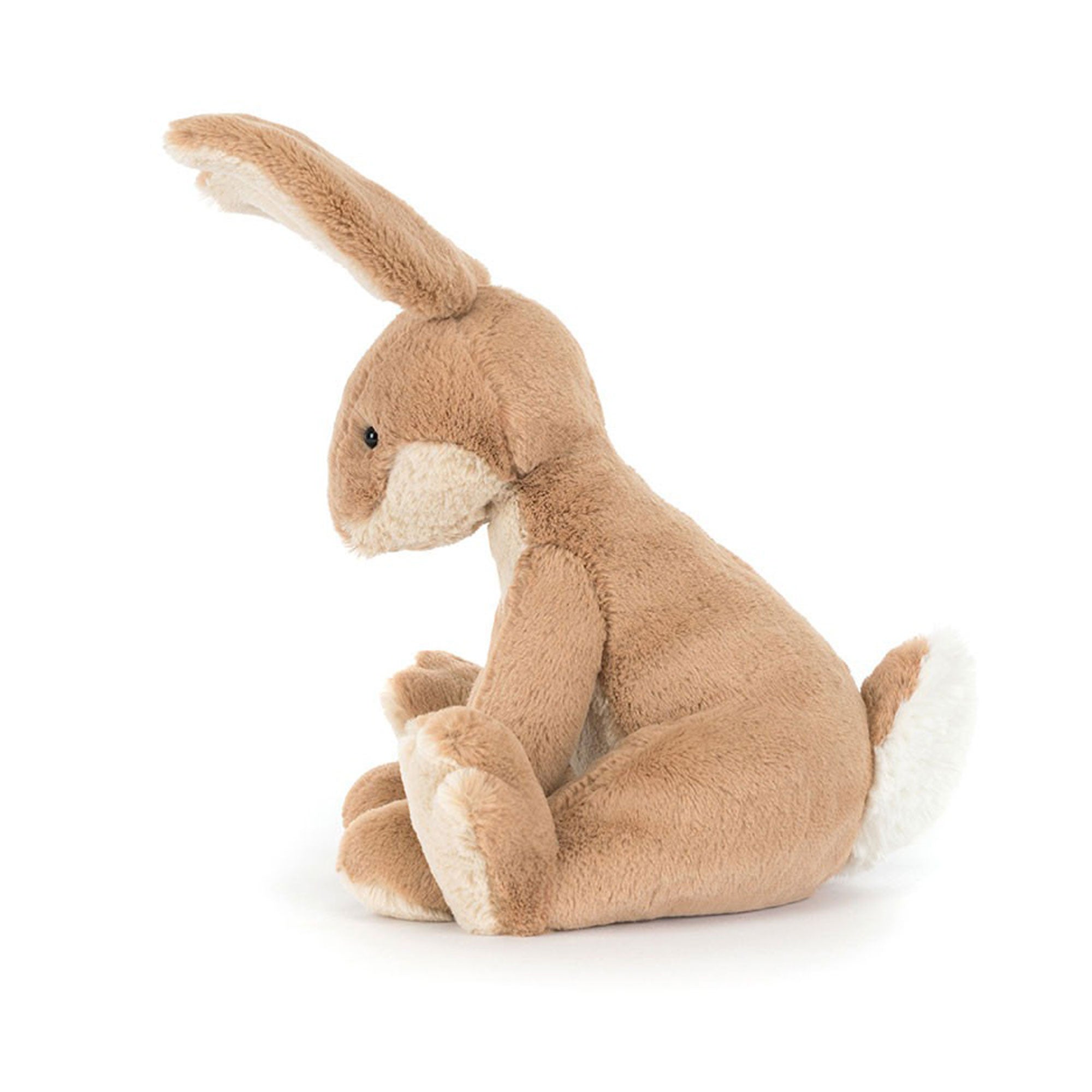 Horticus Hare